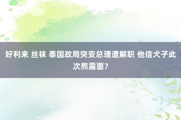 好利来 丝袜 泰国政局突变总理遭解职 他信犬子此次熬露面？