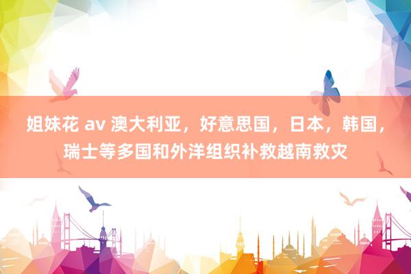 姐妹花 av 澳大利亚，好意思国，日本，韩国，瑞士等多国和外洋组织补救越南救灾