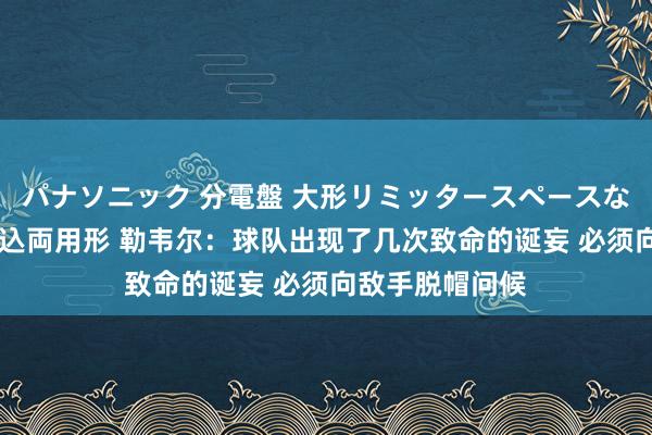 パナソニック 分電盤 大形リミッタースペースなし 露出・半埋