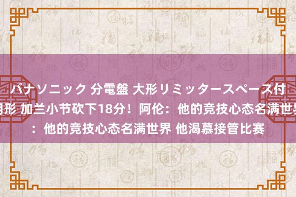パナソニック 分電盤 大形リミッタースペース付 露出・半埋込