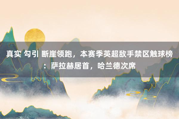 真实 勾引 断崖领跑，本赛季英超敌手禁区触球榜：萨拉赫居首，哈兰德次席